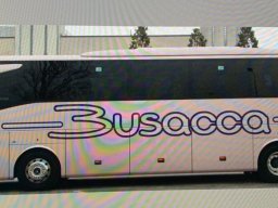 busaccabus 13